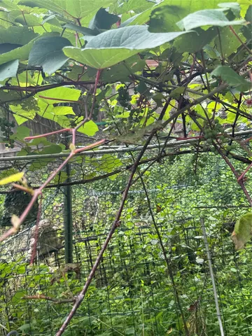 $149,000 | 89 Minisink Trail, Glen Spey, NY 12737