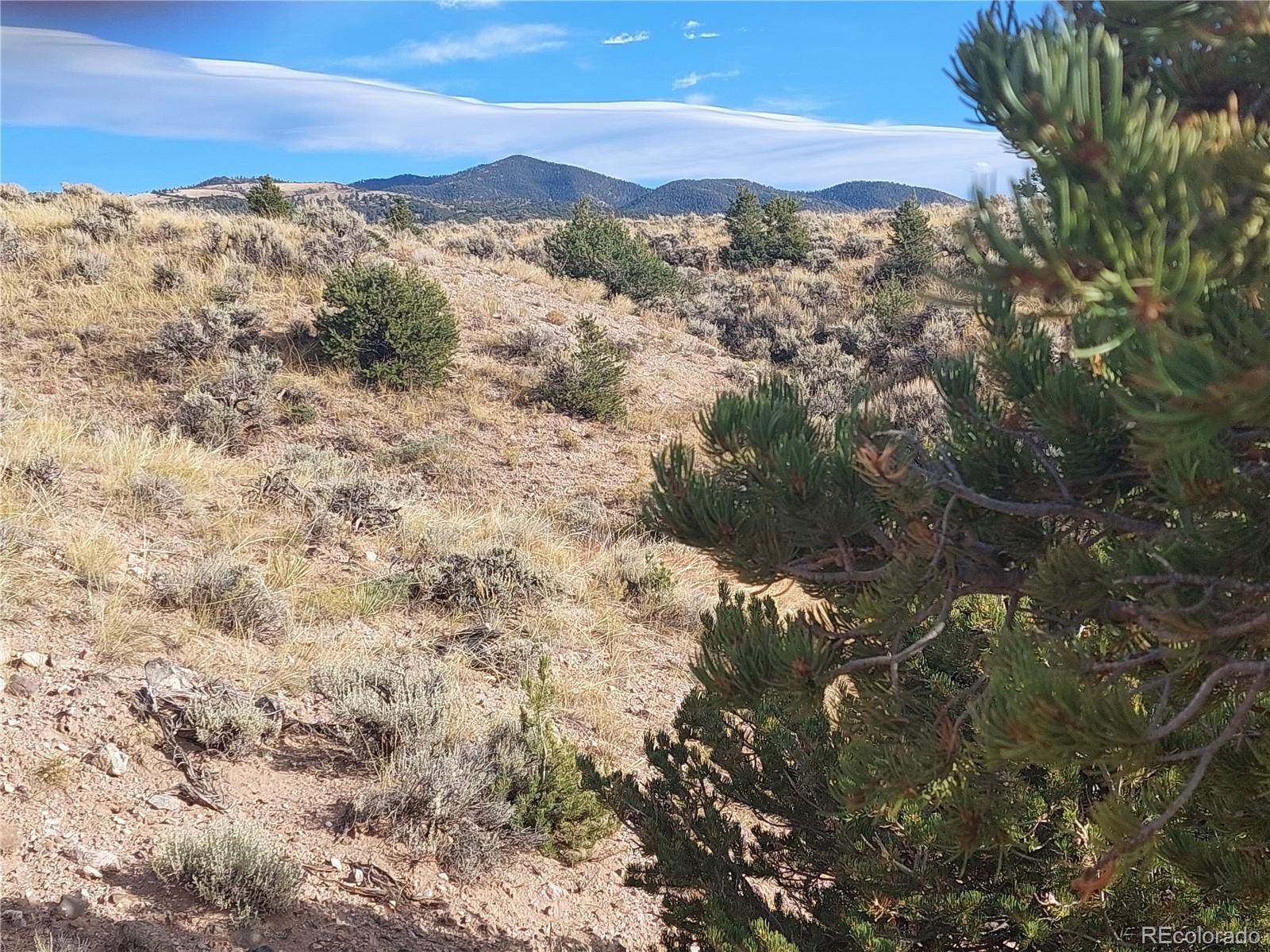 Lot 4132 Barker Road Fort Garland, CO 81133 - Photo 3 of 8 a view of a houses with a yard