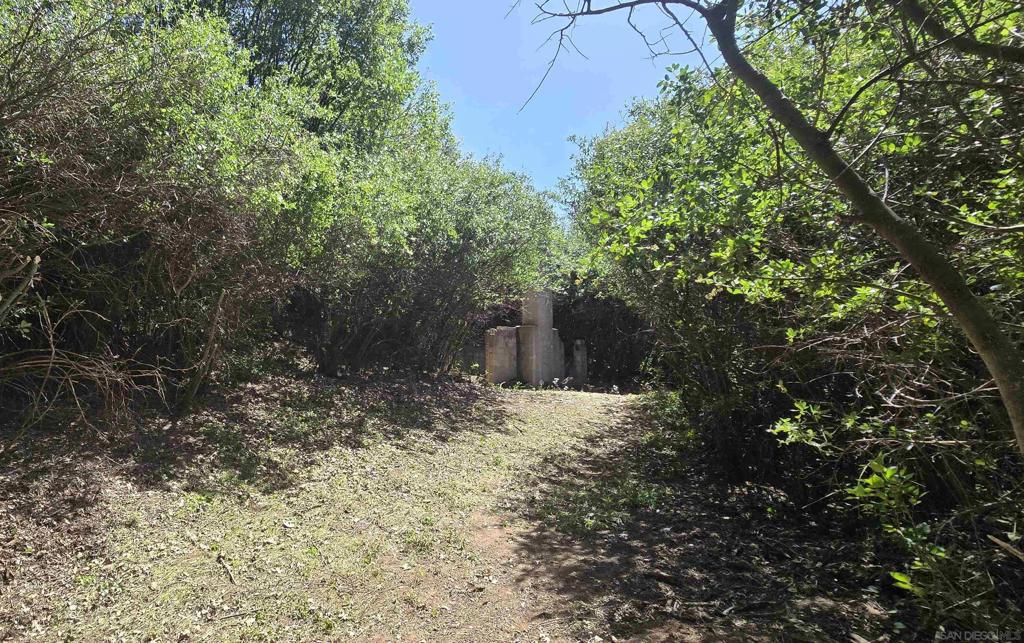 38 Creek Road Julian, CA 92036 - Photo 8 of 16 a view of a yard with plants and trees