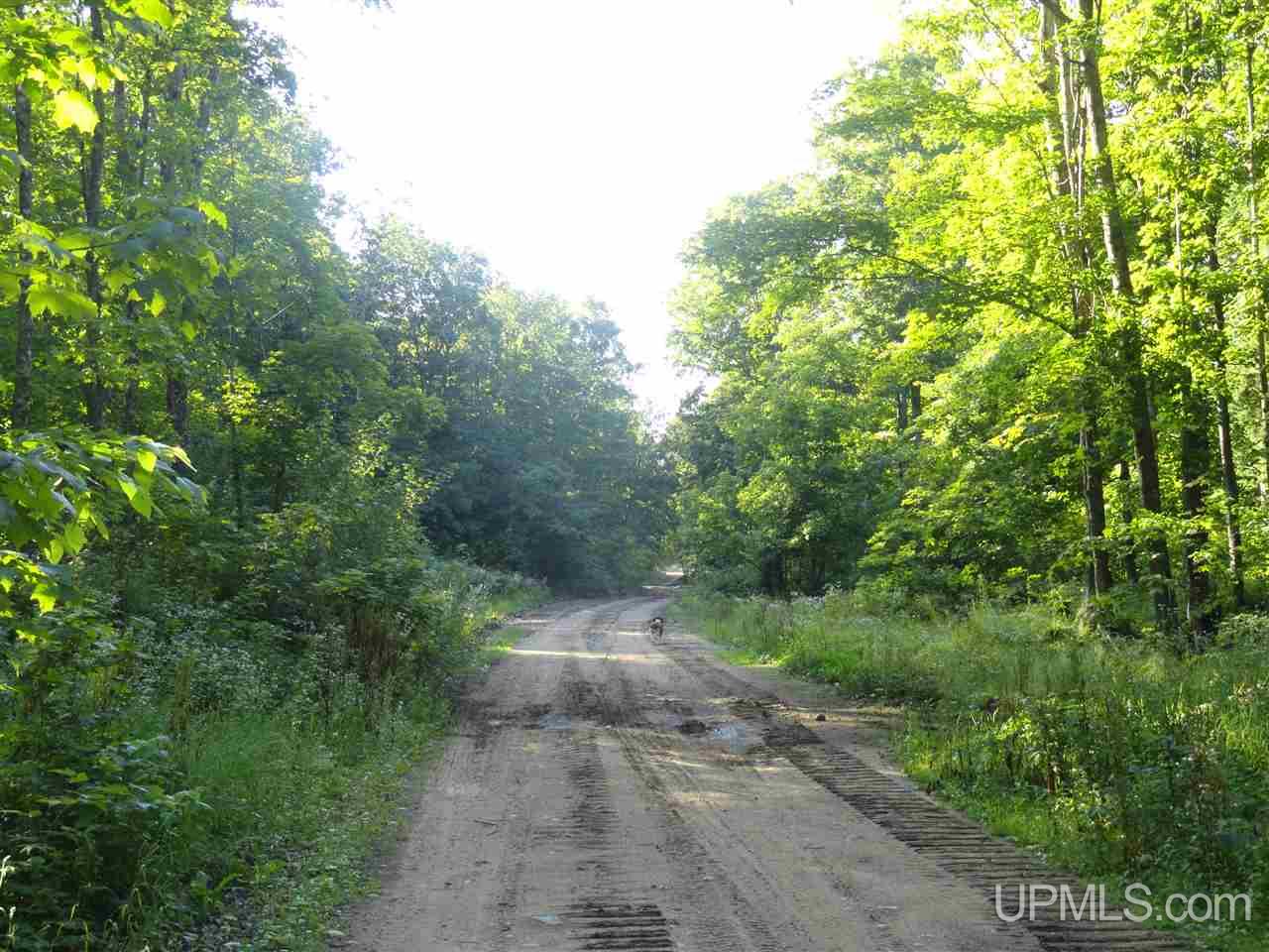 80 SOUTH Off Co Road Ishpeming, MI 49849 - Photo 5 of 20