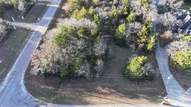 a bird view of house