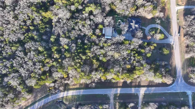 a view of a yard with plants