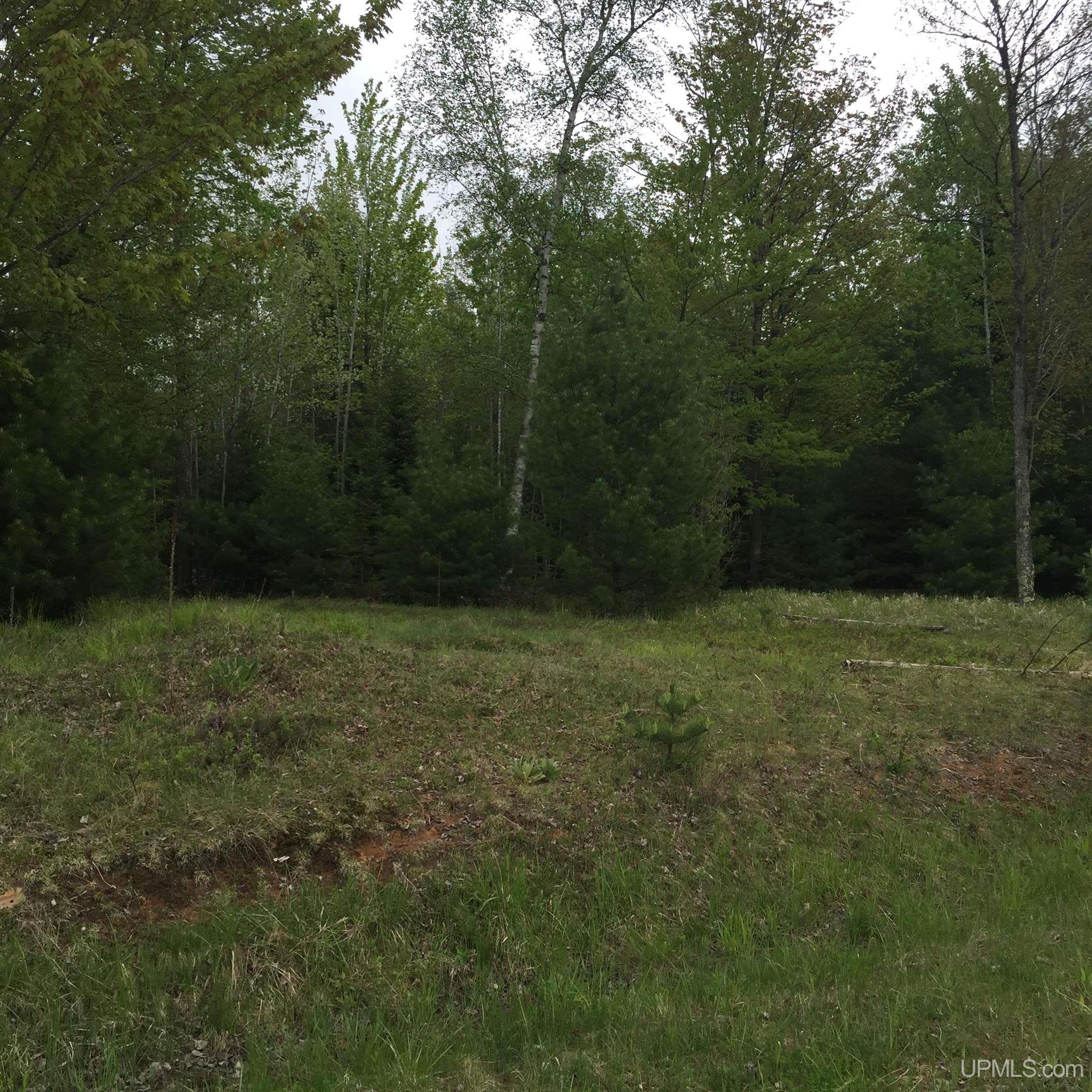 5306 County 513 T Road Rapid River, MI 49878 - Photo 2 of 5