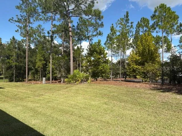 a area with trees in the background
