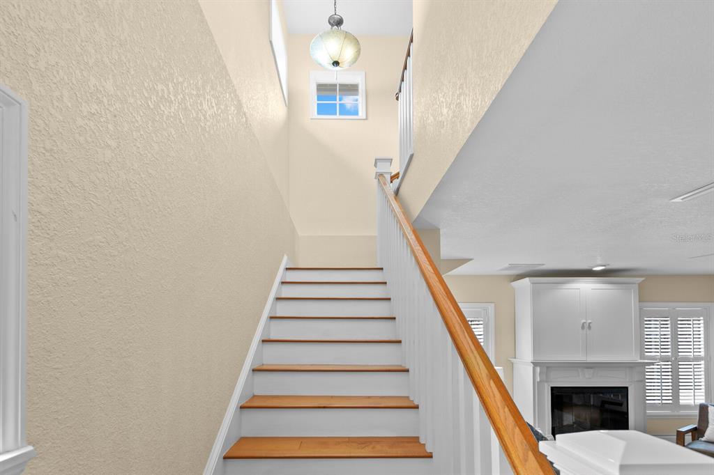 309 Park Ridge Avenue Temple Terrace, FL 33617 - Photo 26 of 60 a view of entryway and hall with wooden floor