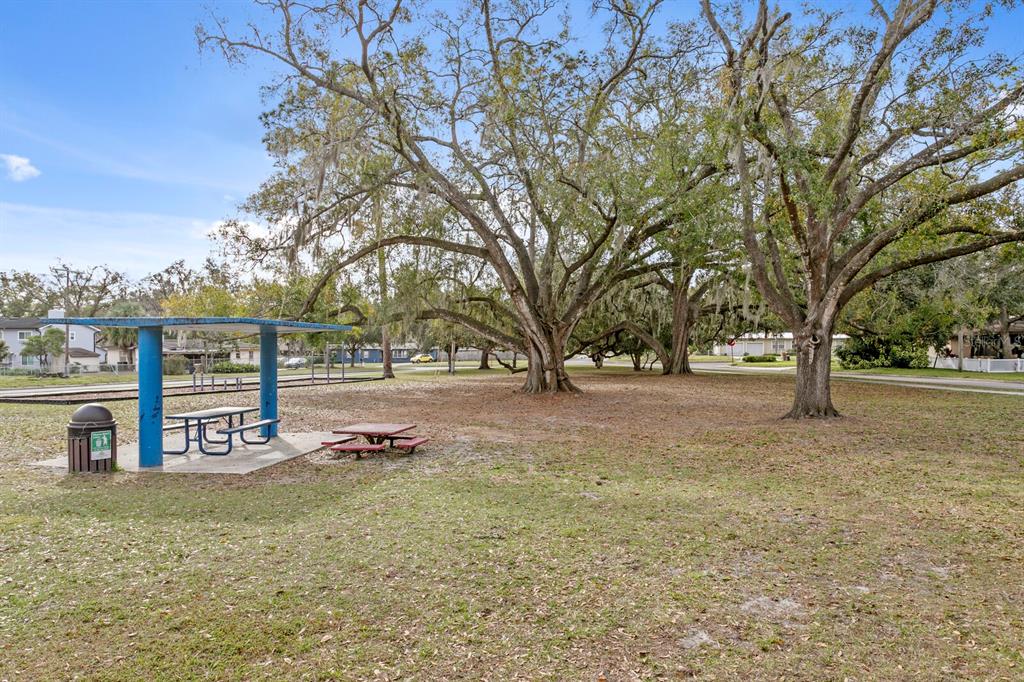 309 Park Ridge Avenue Temple Terrace, FL 33617 - Photo 58 of 60 a view of outdoor space with trees