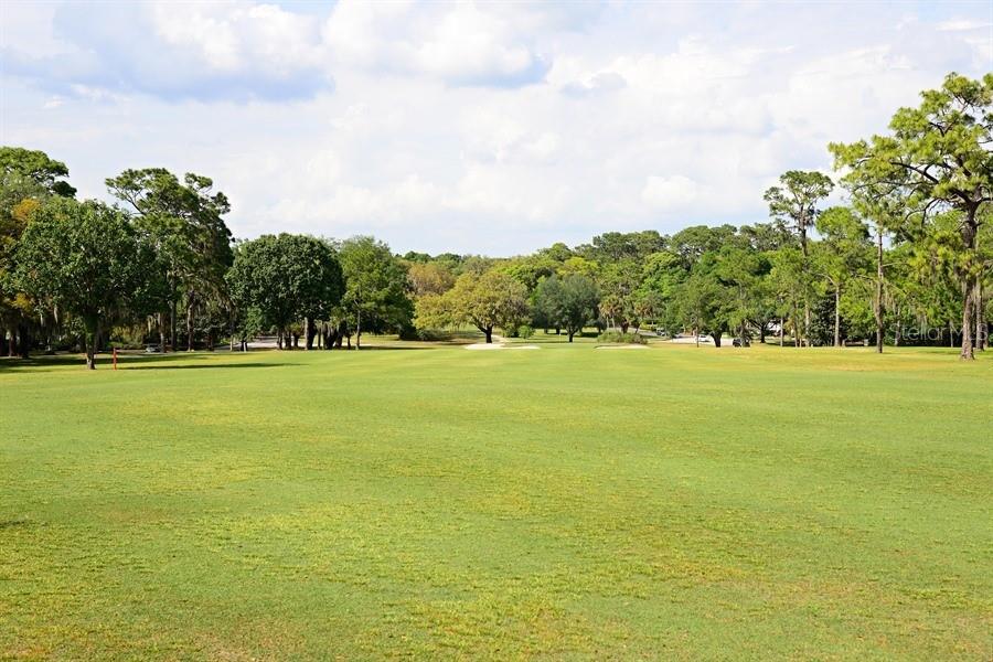 309 Park Ridge Avenue Temple Terrace, FL 33617 - Photo 60 of 60 a view of a green field with clear sky
