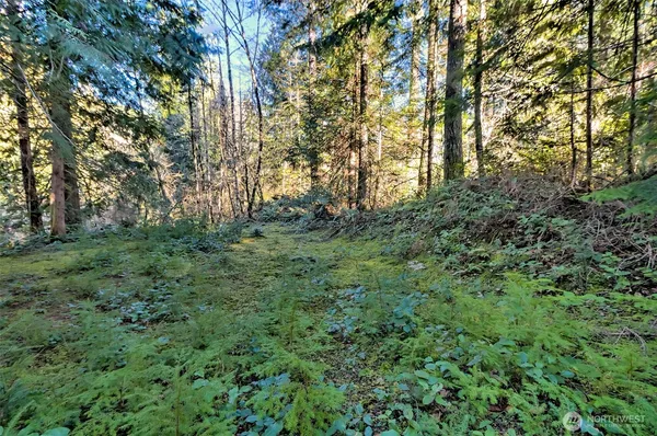 $850,000 | 50 North Standstill Drive South, Hoodsport, WA 98548