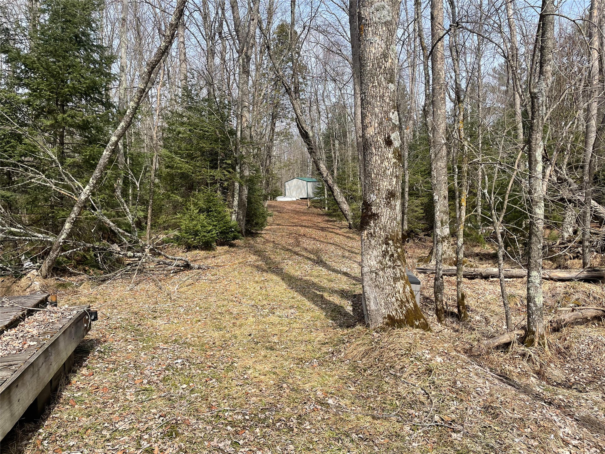 4091 West North Clover Road Winter, WI 54896 - Photo 33 of 36