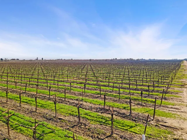 $1,040,000 | 10400 East Harney Lane, Lodi, CA 95240