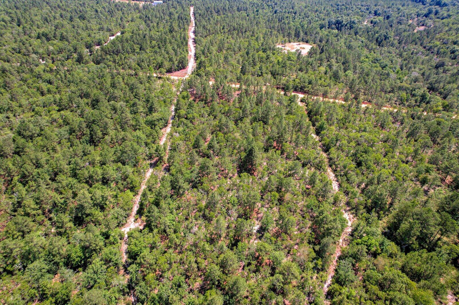 0 Big Branch Road Aiken, SC 29805 - Photo 13 of 14