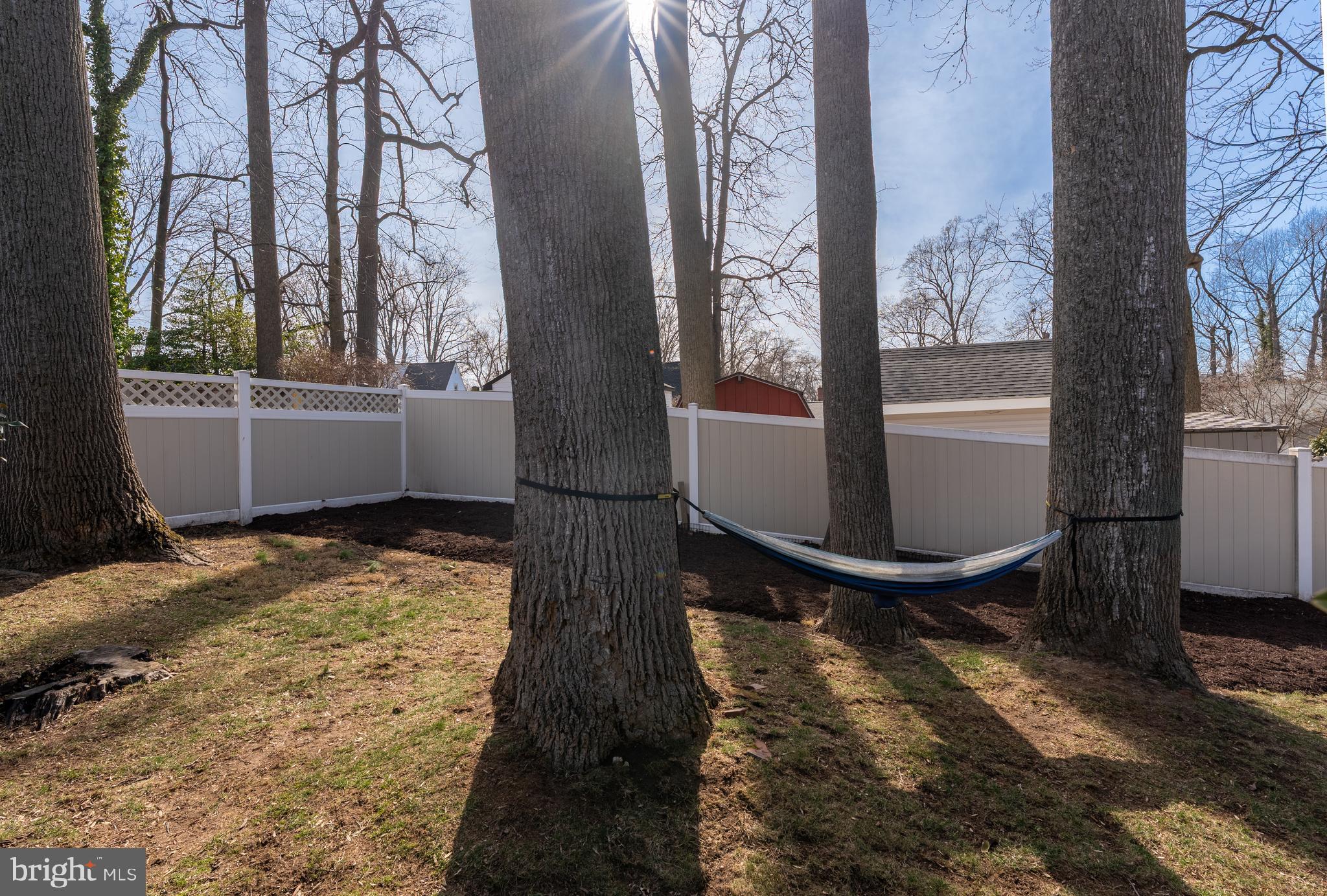 12710 Atherton Drive Silver Spring, MD 20906 - Photo 31 of 31 Fenced Backyard with mature trees