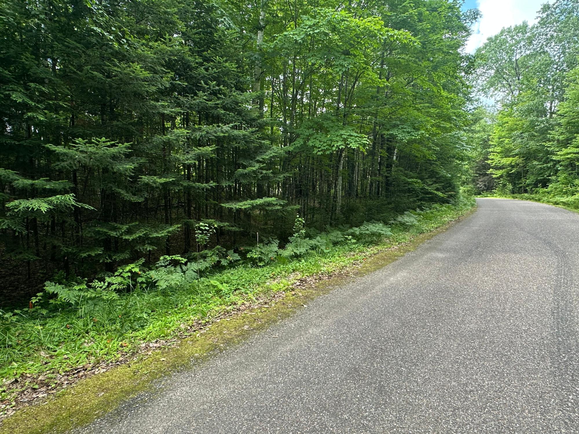 2.3-ac Black Forest Road Presque Isle, WI 54557 - Photo 2 of 9 Gallery Image 2