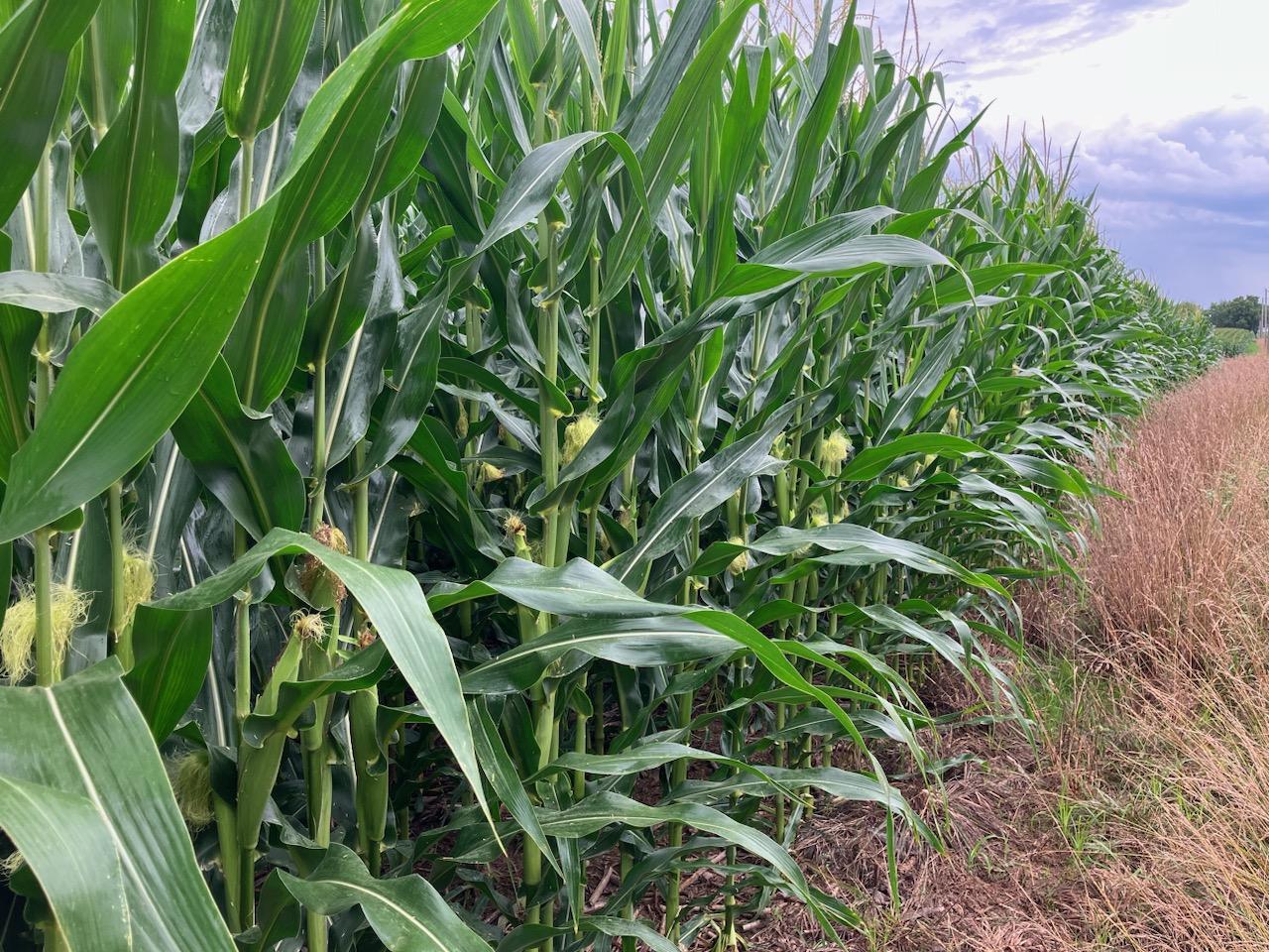 20-ac Butternut Road Oregon, IL 61061 - Photo 7 of 10