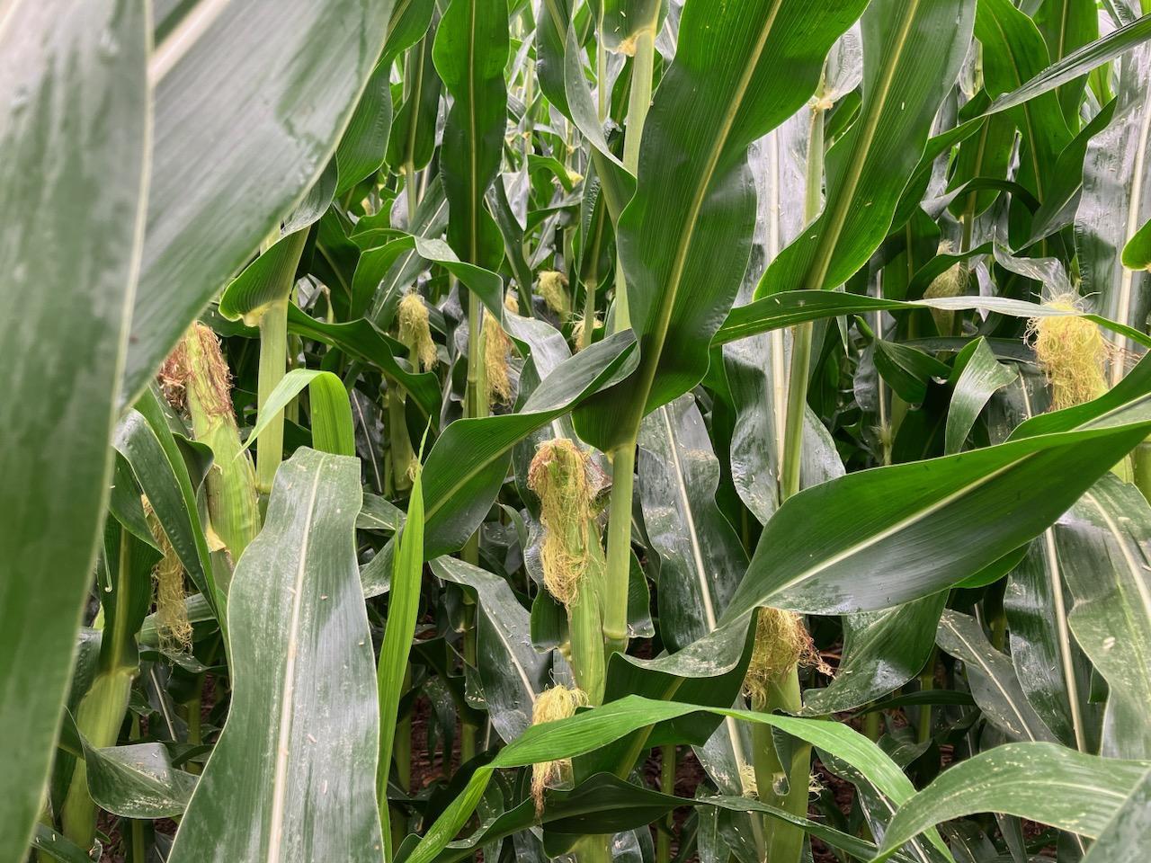 20-ac Butternut Road Oregon, IL 61061 - Photo 8 of 10