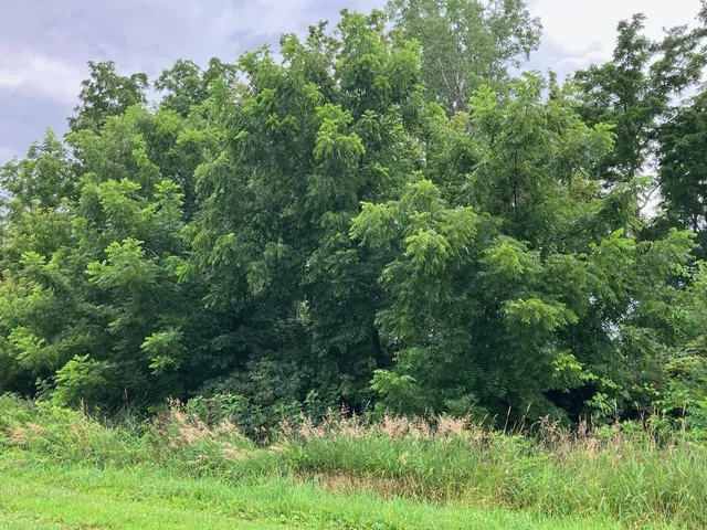 $270,000 | 20-ac Butternut Road, Oregon, IL 61061