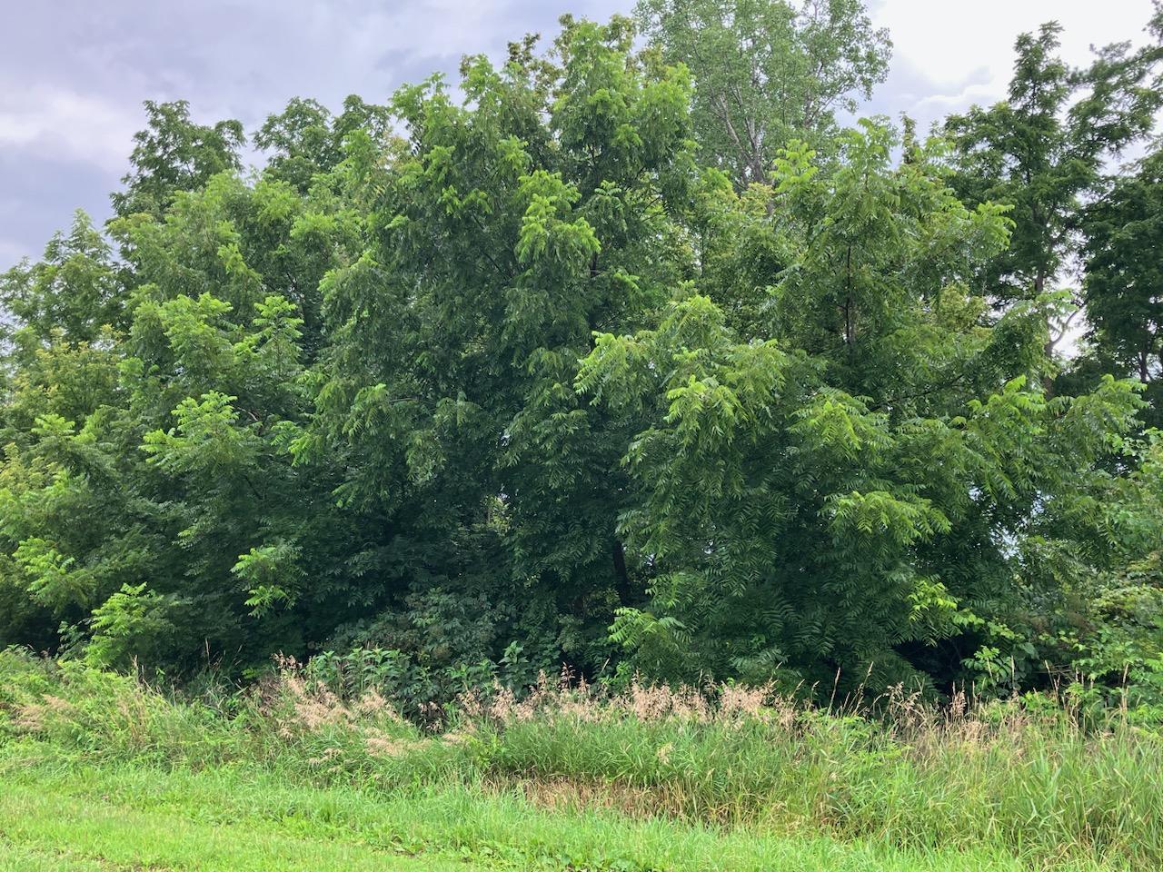 20-ac Butternut Road Oregon, IL 61061 - Photo 9 of 10