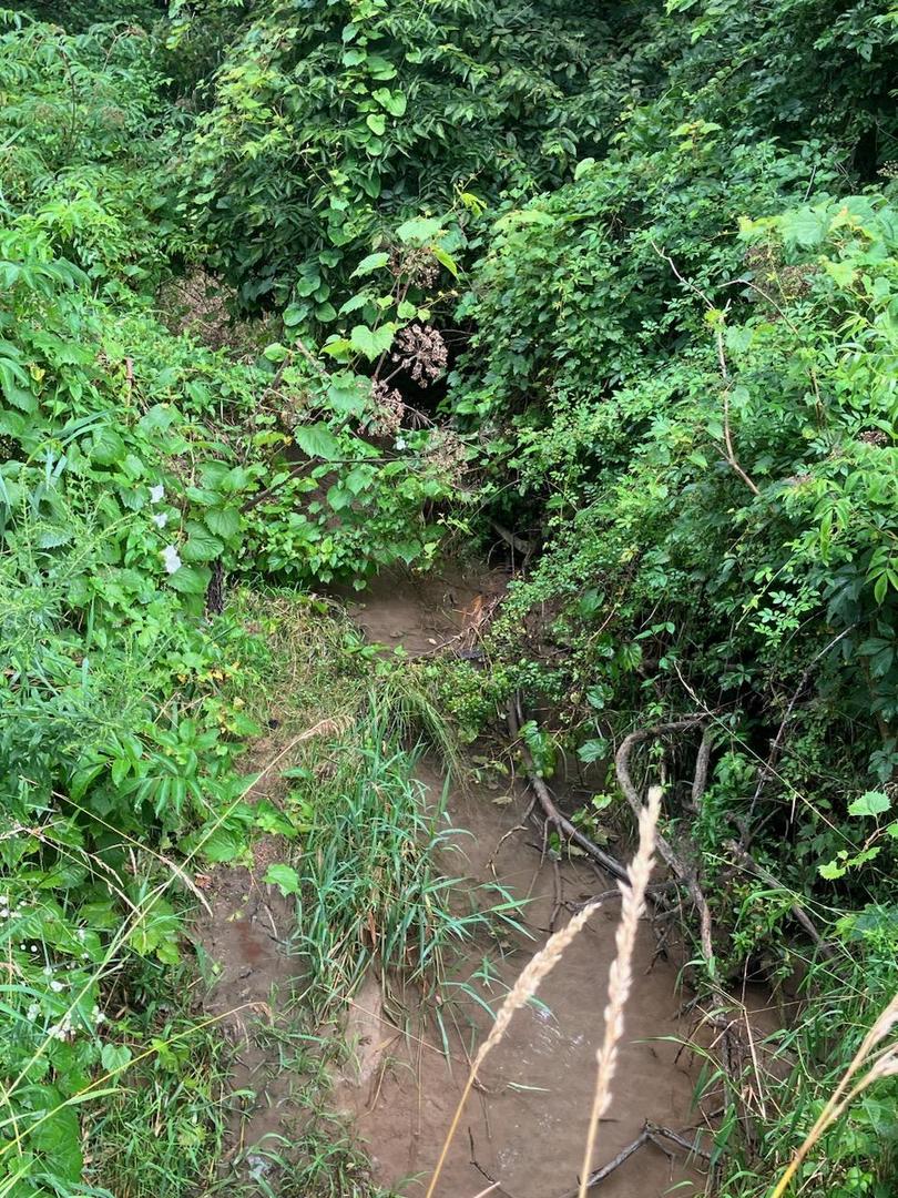 20-ac Butternut Road Oregon, IL 61061 - Photo 10 of 10