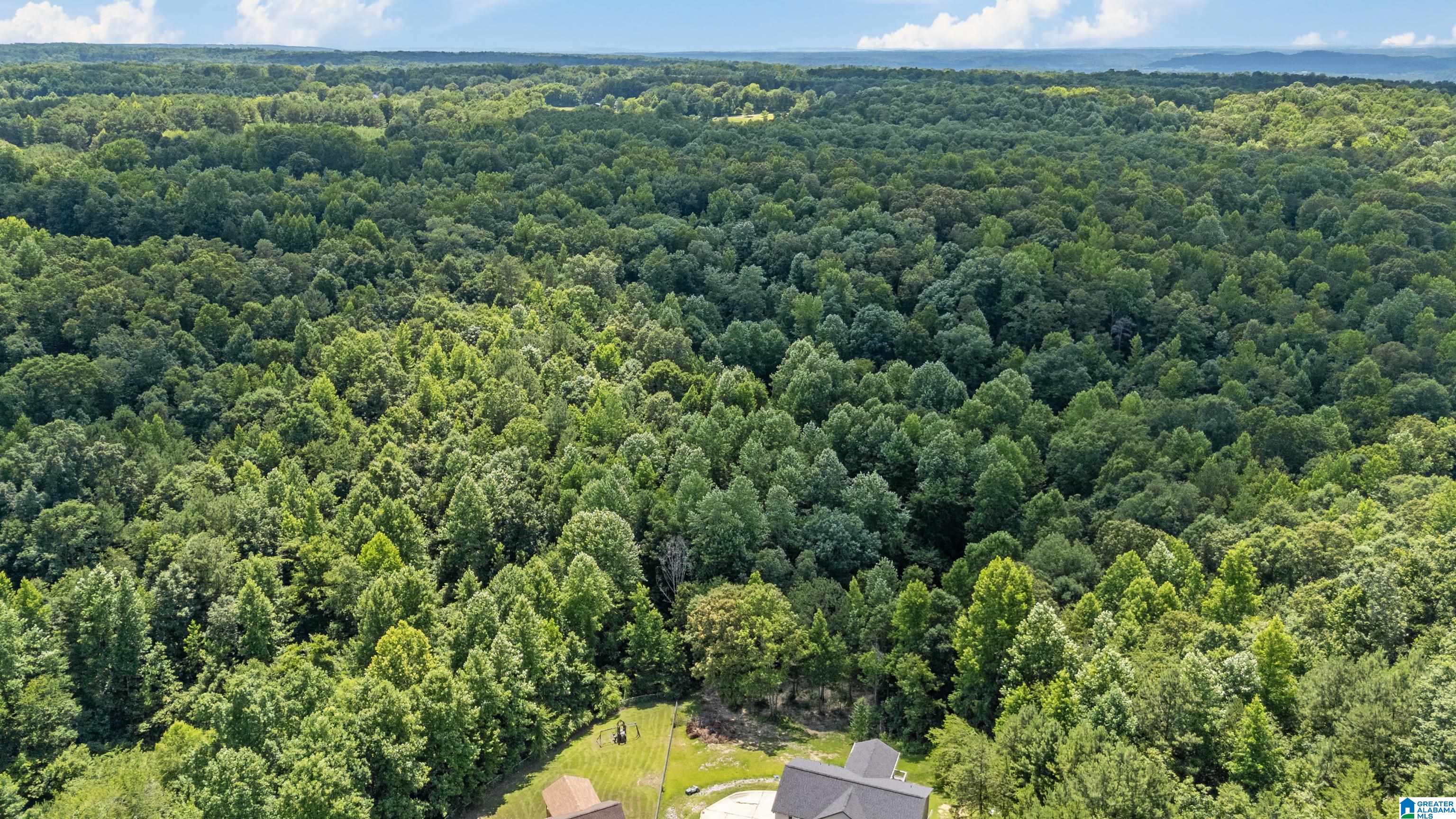 529 Indian Hills Road Hayden, AL 35079 - Photo 48 of 52 Gallery Image 48