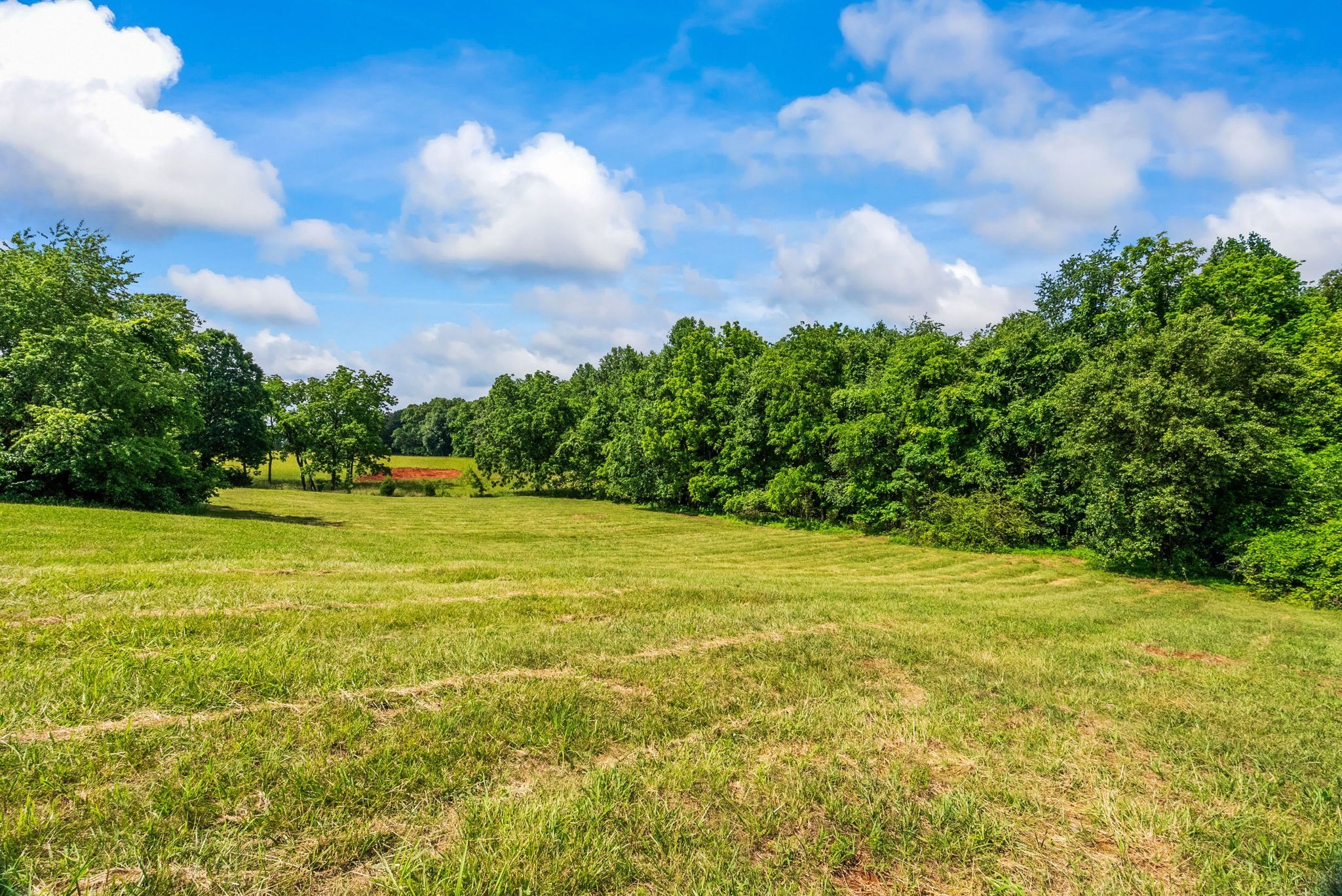 4919 Pulliam-Hardaway Road Springfield, TN 37172 - Photo 70 of 95 Gallery Image 70