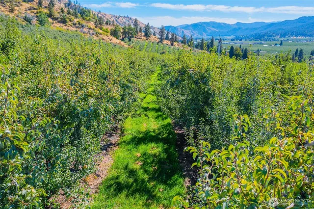 $1,350,000 | 0 Larson Road, Peshastin, WA 98847