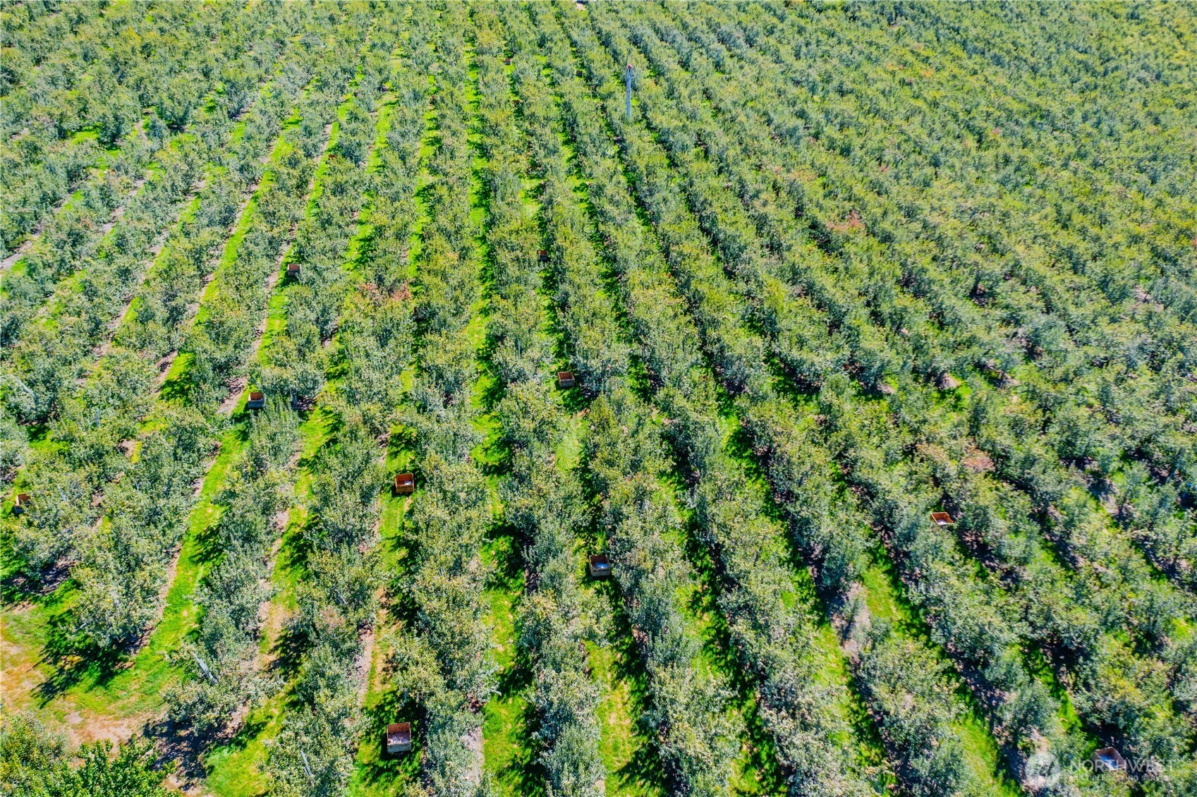 0 Larson Road Peshastin, WA 98847 - Photo 14 of 17 a view of a lush green field