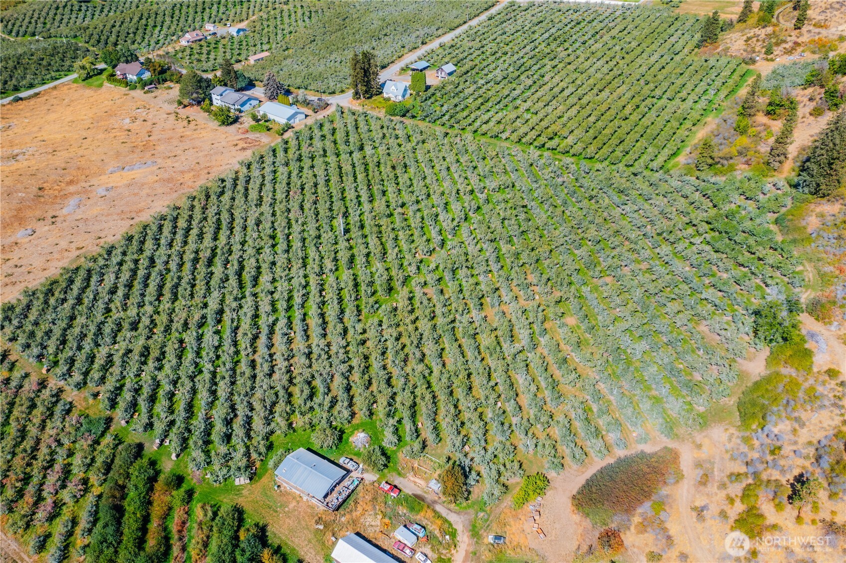 0 Larson Road Peshastin, WA 98847 - Photo 6 of 17 a view of a garden