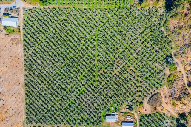 $1,350,000 | 0 Larson Road, Peshastin, WA 98847