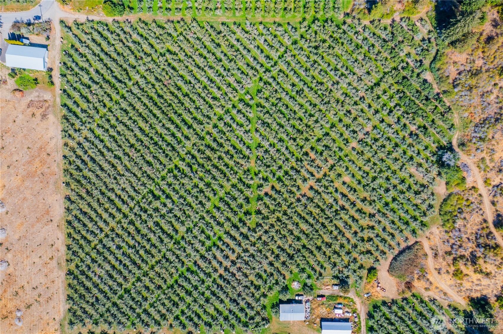 0 Larson Road Peshastin, WA 98847 - Photo 7 of 17