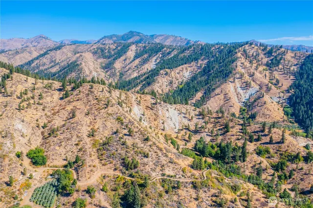 $1,350,000 | 0 Larson Road, Peshastin, WA 98847