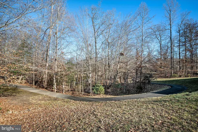 a view of a yard with large trees