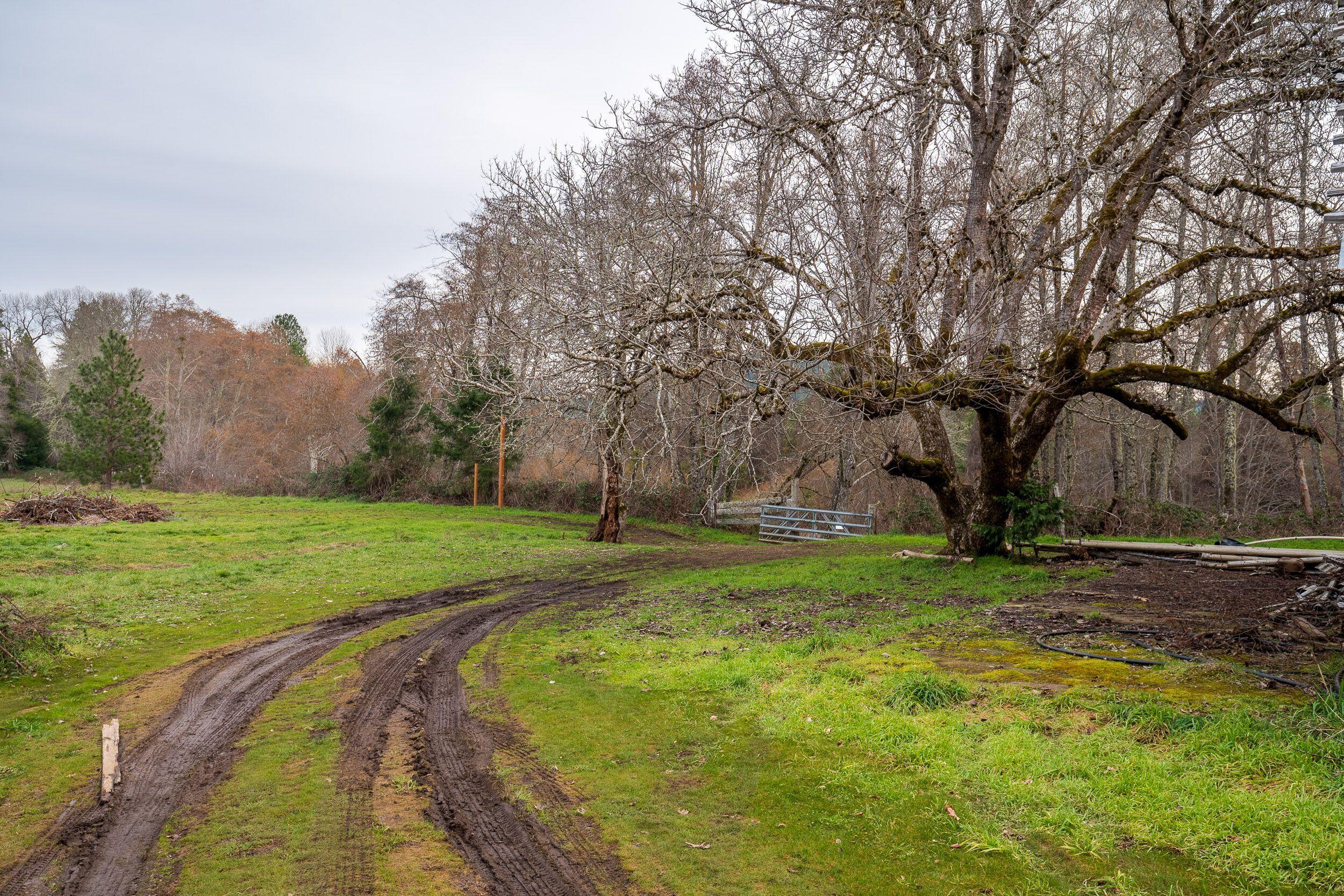 175 Deer Creek Road Selma, OR 97538 - Photo 21 of 25 m9ITb7Aw