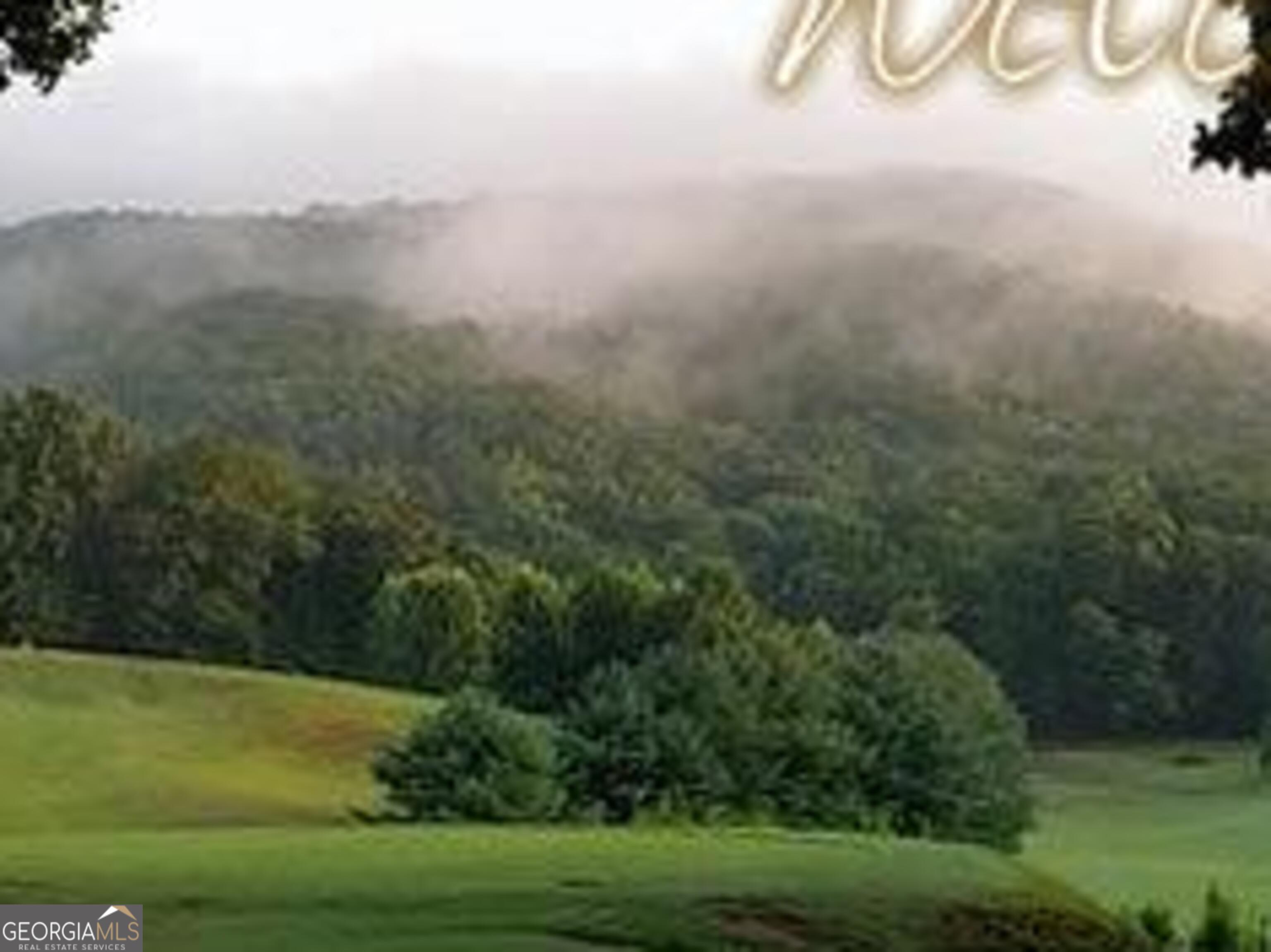 0 Early Red Pippin, Unit 1818 Clarkesville, GA 30523 - Photo 5 of 6 a view of a field with an ocean