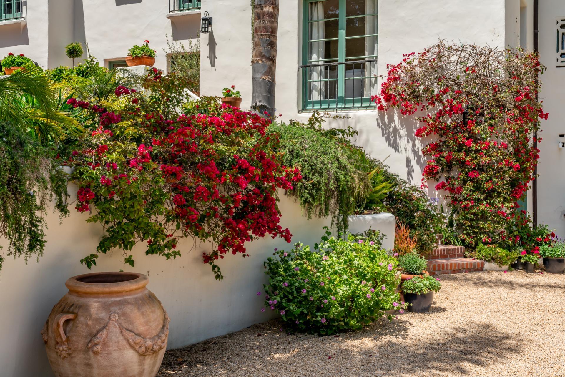 1098 Golf Road Montecito, CA 93108 - Photo 6 of 62 a flower plants and a potted plant sitting in front of a house
