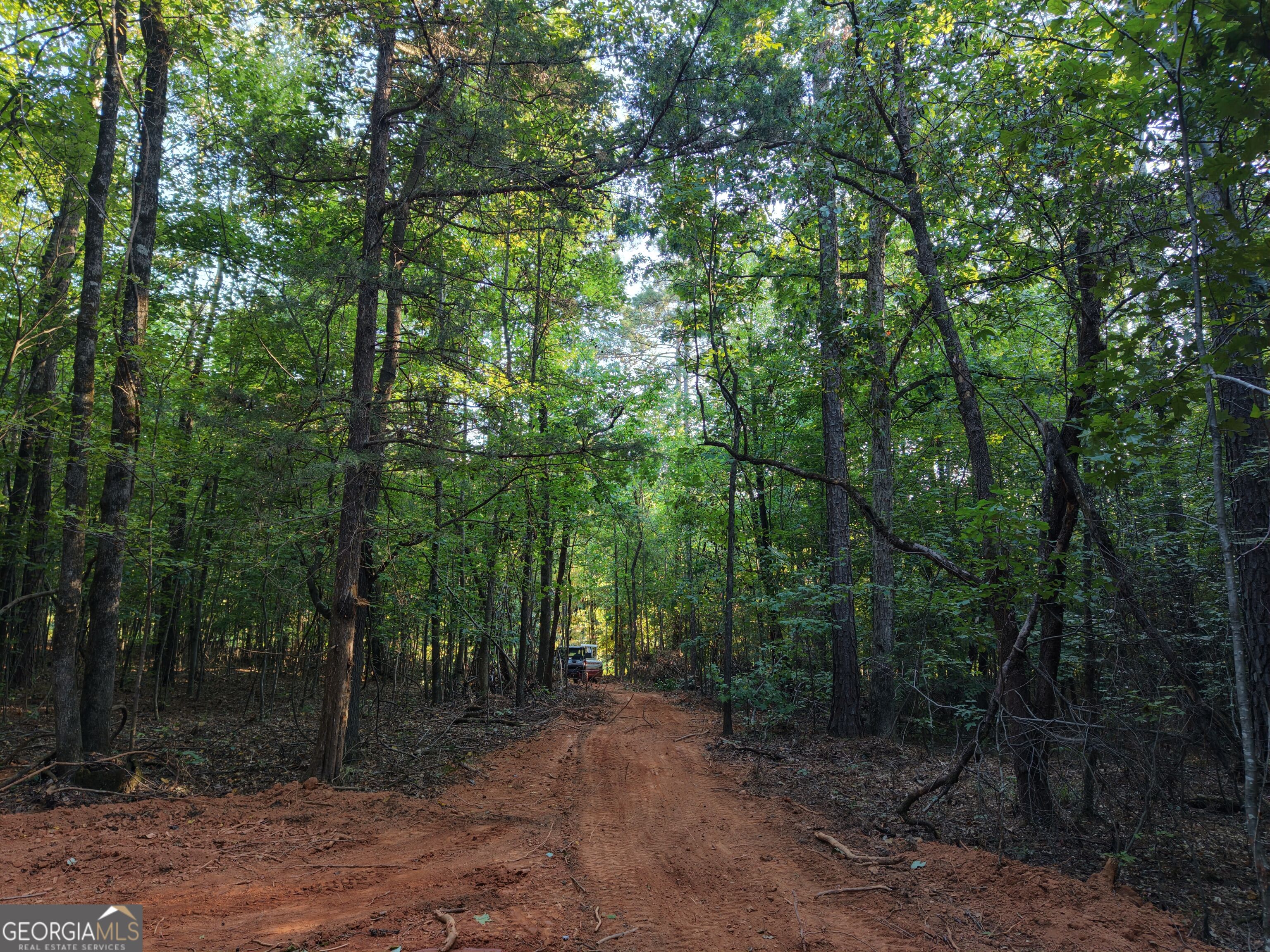8 Bunch Road Tignall, GA 30668 - Photo 77 of 83 Gallery Image 77