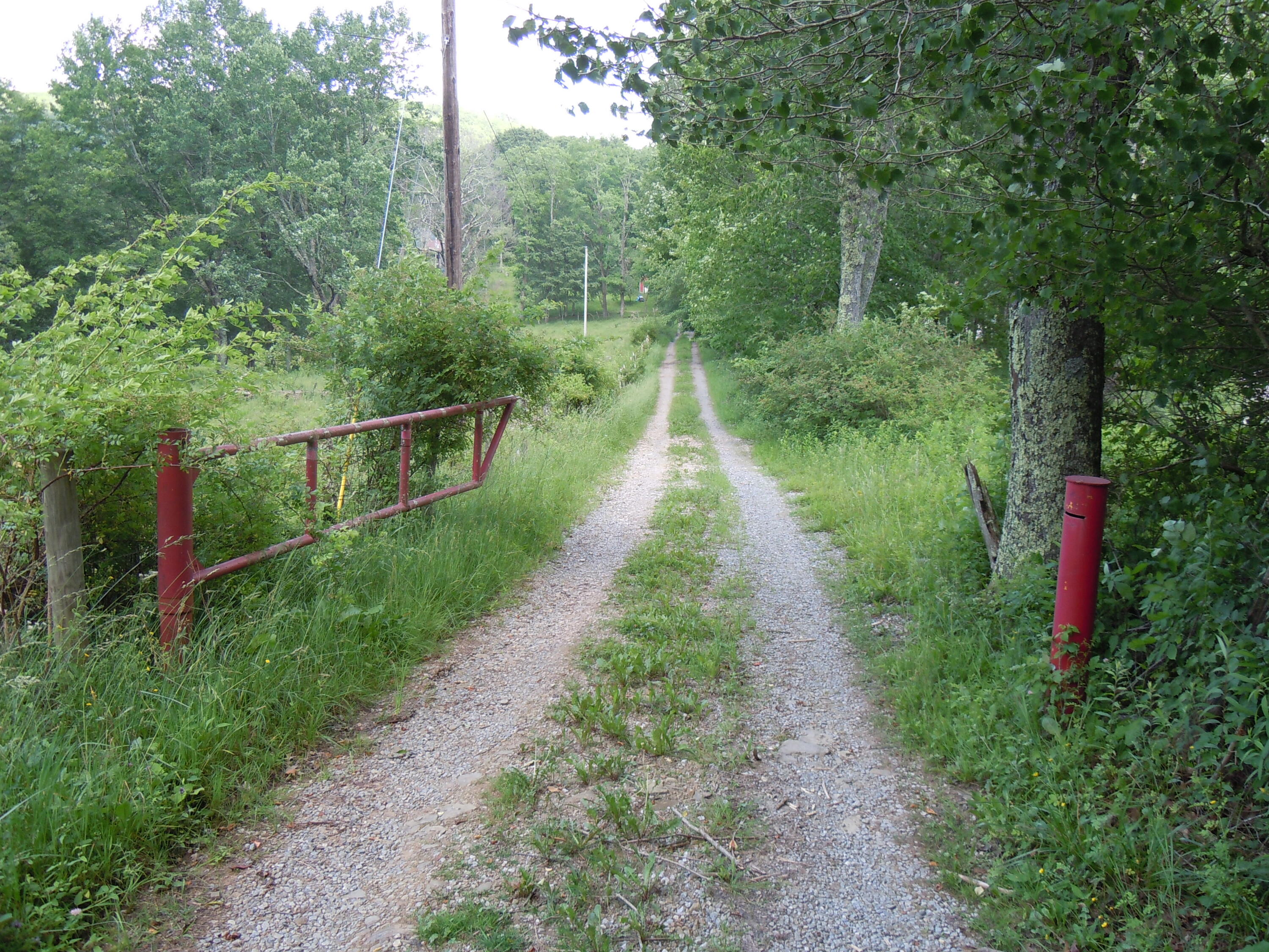 15240 Back Mountain Road Durbin, WV 26264 - Photo 3 of 82 Gallery Image 3