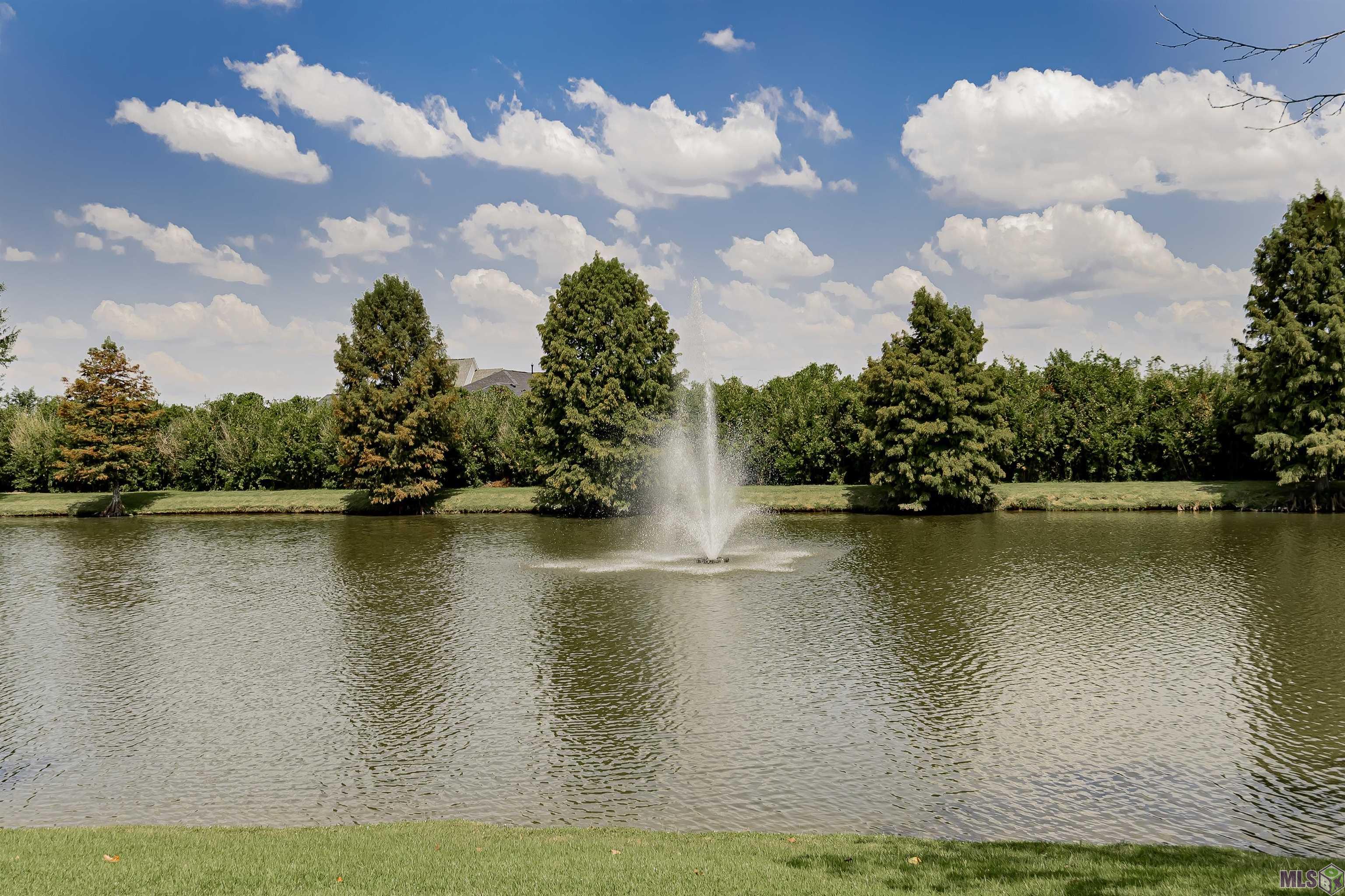 14628 Memorial Tower Drive Baton Rouge, LA 70810 - Photo 7 of 60