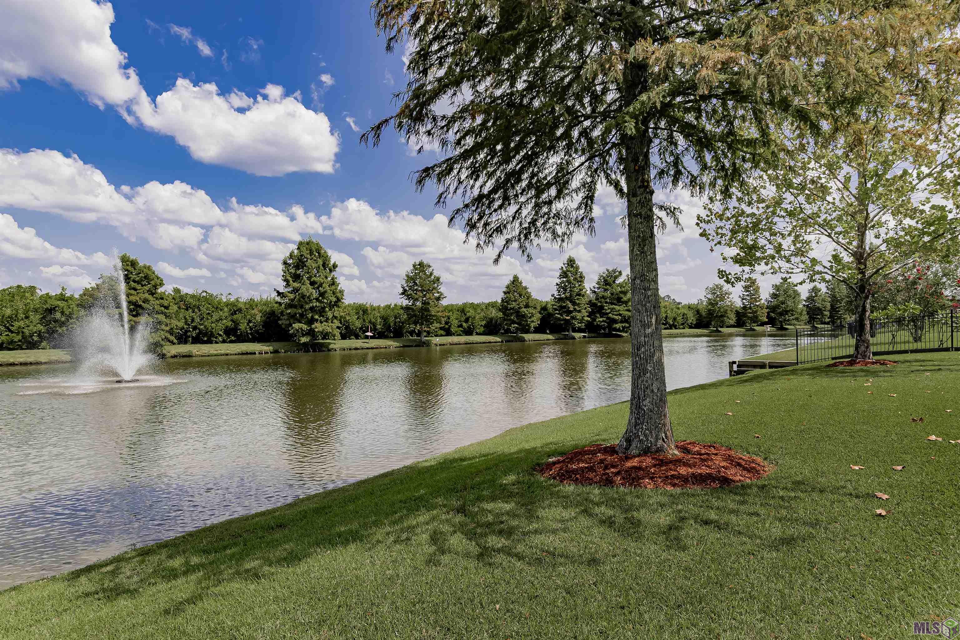 14628 Memorial Tower Drive Baton Rouge, LA 70810 - Photo 8 of 60