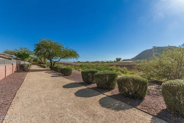 a view of an outdoor space with trees