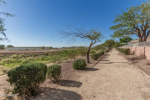 a backyard of a house with large trees