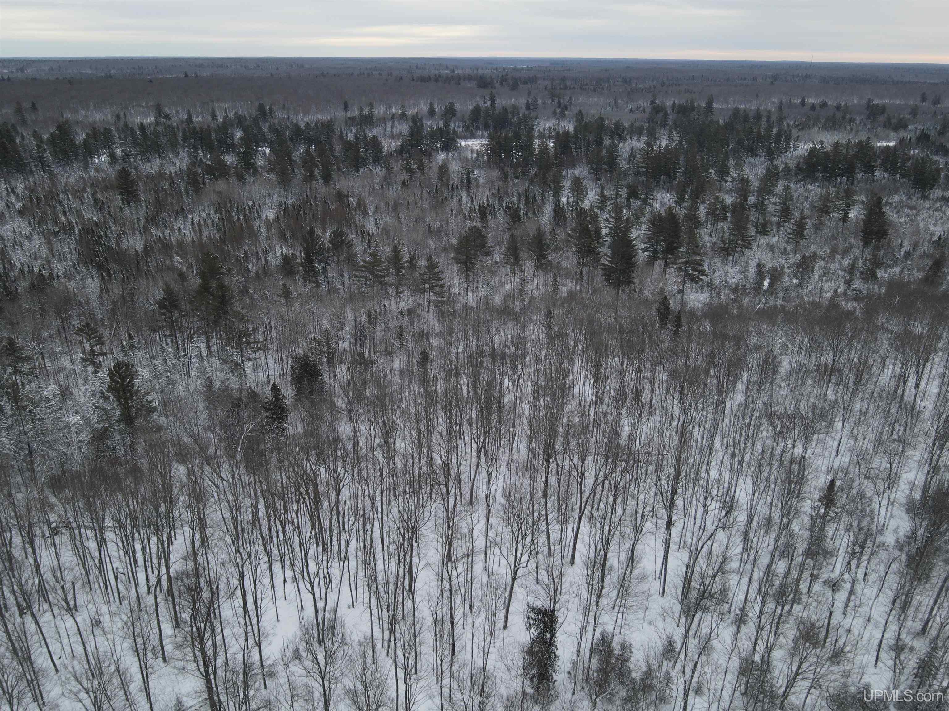 80-acr 80-acr Ford Road Watton, MI 49970 - Photo 3 of 17