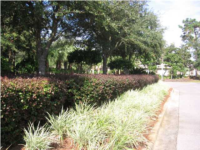 Lot 71 Grand Flora Way Santa Rosa Beach, FL 32459 - Photo 3 of 14 Gallery Image 3