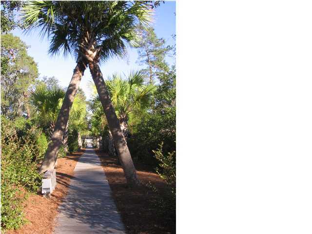 Lot 71 Grand Flora Way Santa Rosa Beach, FL 32459 - Photo 8 of 14 Gallery Image 8