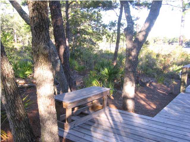 Lot 71 Grand Flora Way Santa Rosa Beach, FL 32459 - Photo 9 of 14 Gallery Image 9