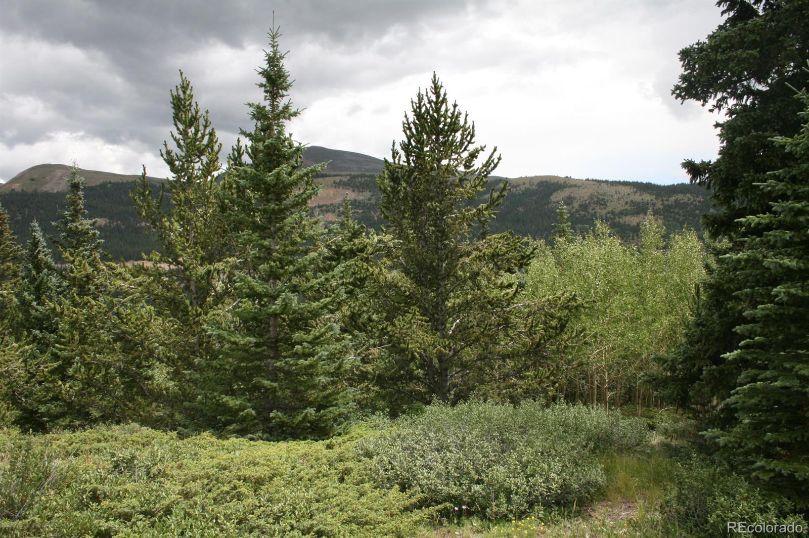 2060 Quartzville Road Alma, CO 80420 - Photo 3 of 13 Gallery Image 3