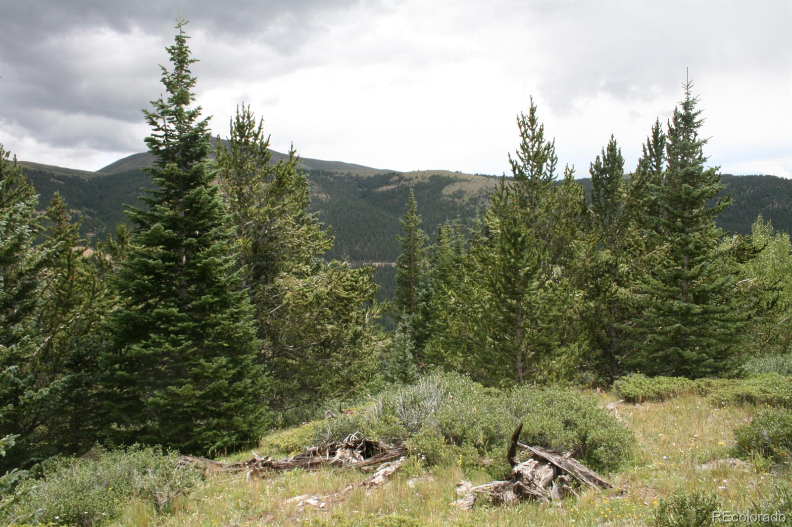 2060 Quartzville Road Alma, CO 80420 - Photo 4 of 13 Gallery Image 4