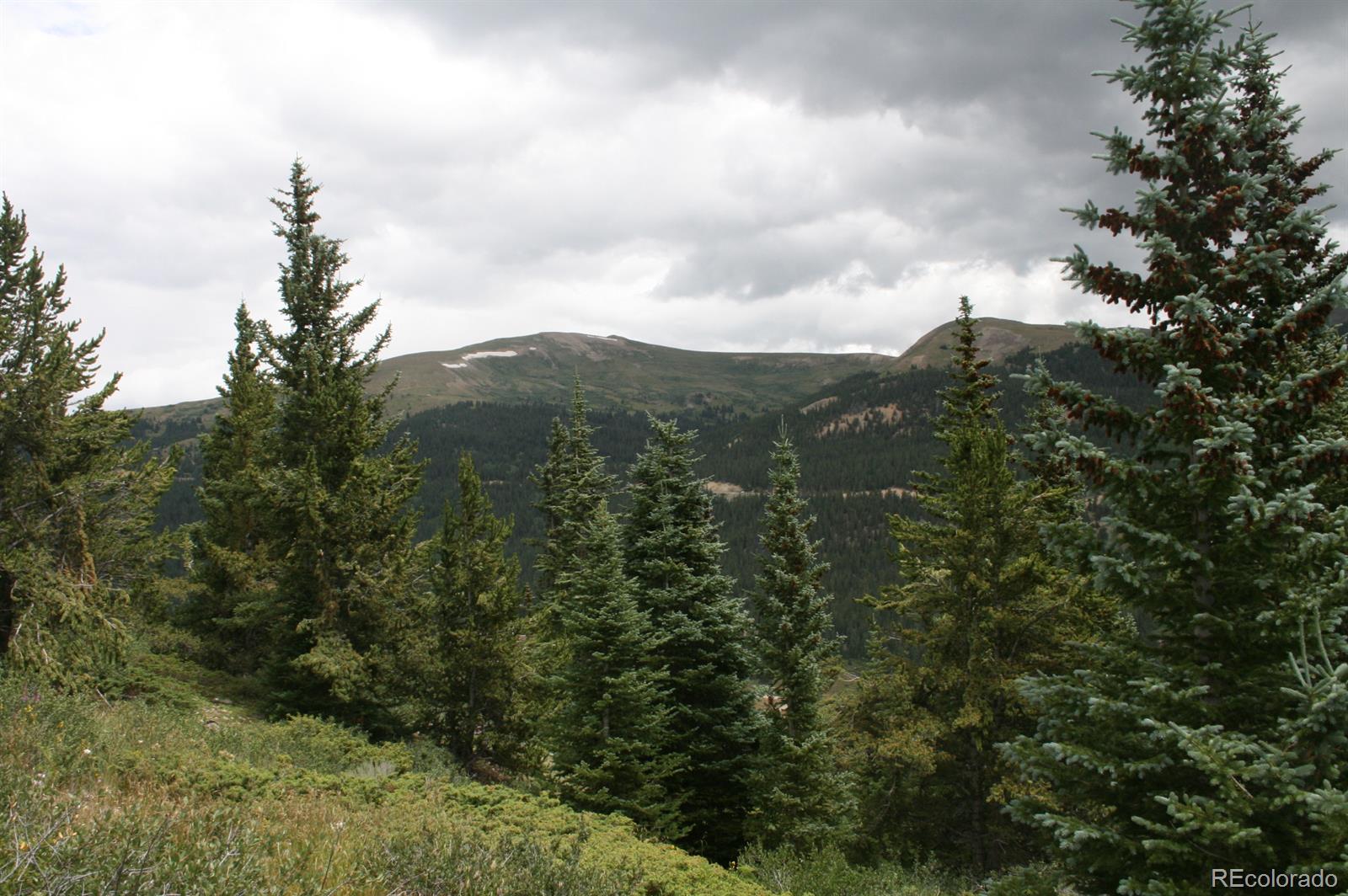 2060 Quartzville Road Alma, CO 80420 - Photo 8 of 13 Gallery Image 8