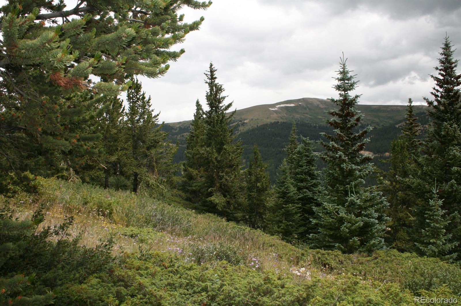 2060 Quartzville Road Alma, CO 80420 - Photo 9 of 13 Gallery Image 9