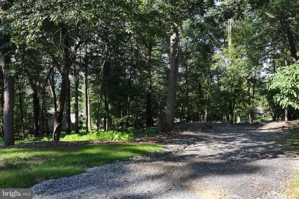a view of a park with a tree