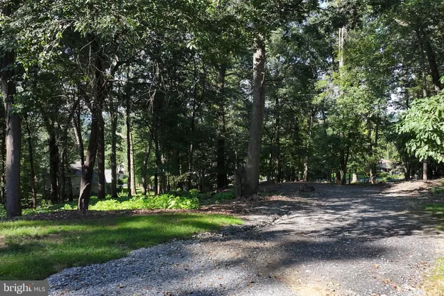 a view of a park with a tree
